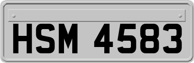 HSM4583