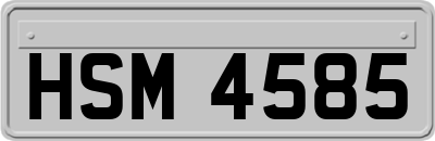 HSM4585