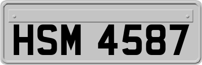 HSM4587