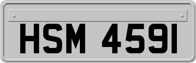 HSM4591