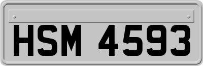 HSM4593