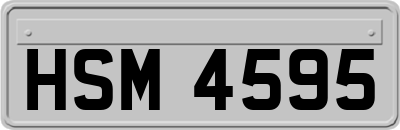 HSM4595