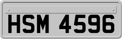 HSM4596