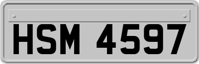 HSM4597