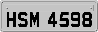 HSM4598