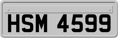 HSM4599