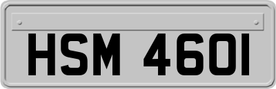 HSM4601