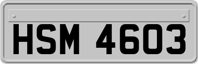 HSM4603