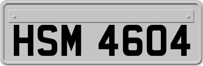 HSM4604