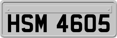 HSM4605