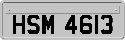 HSM4613