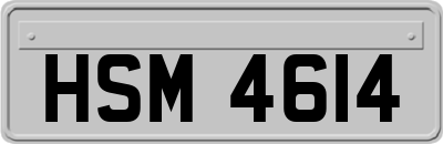 HSM4614