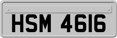 HSM4616