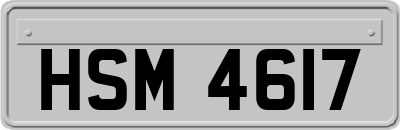 HSM4617