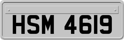 HSM4619