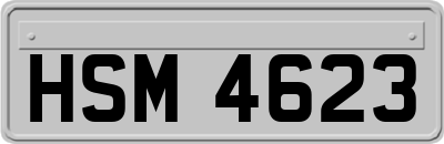 HSM4623