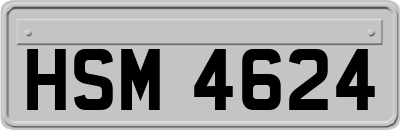 HSM4624