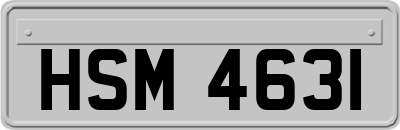 HSM4631