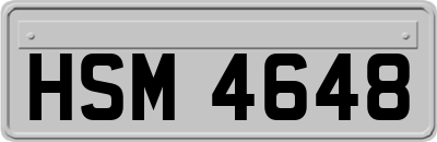 HSM4648