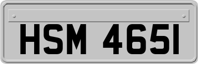 HSM4651