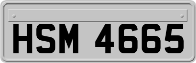 HSM4665