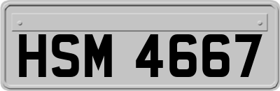 HSM4667