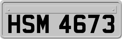 HSM4673