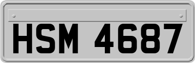 HSM4687