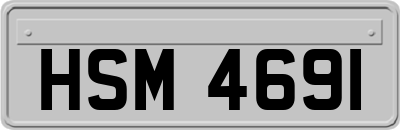 HSM4691