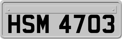 HSM4703