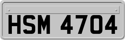 HSM4704