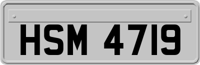 HSM4719