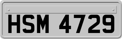 HSM4729