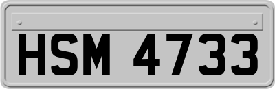 HSM4733