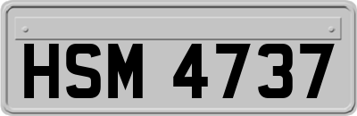 HSM4737