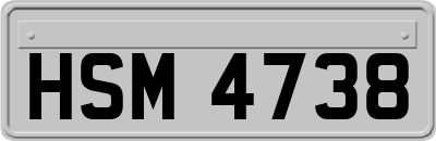 HSM4738