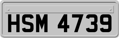 HSM4739