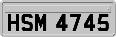 HSM4745