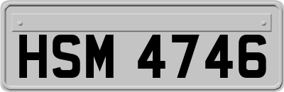 HSM4746