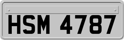 HSM4787