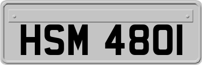 HSM4801