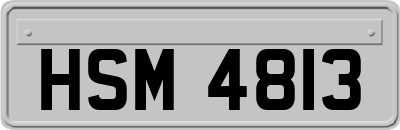HSM4813