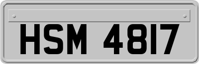 HSM4817