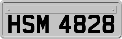 HSM4828