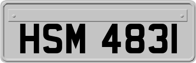 HSM4831