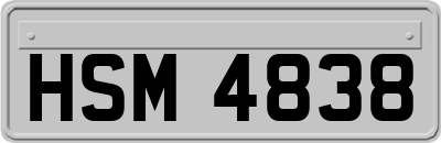 HSM4838