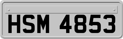 HSM4853