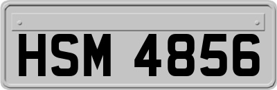 HSM4856