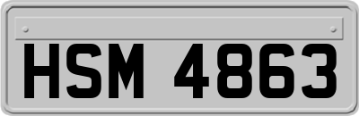 HSM4863