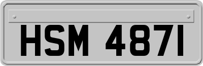 HSM4871
